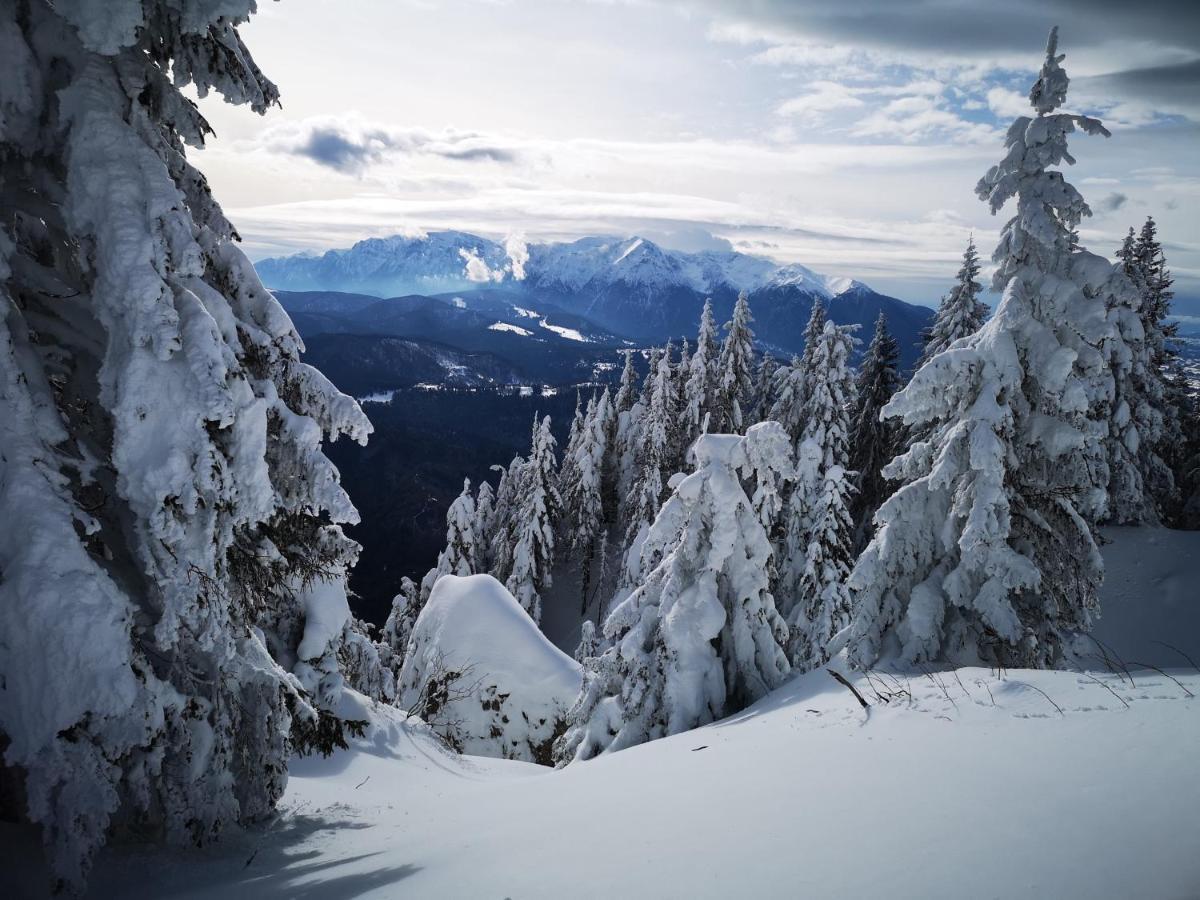 Mountain *